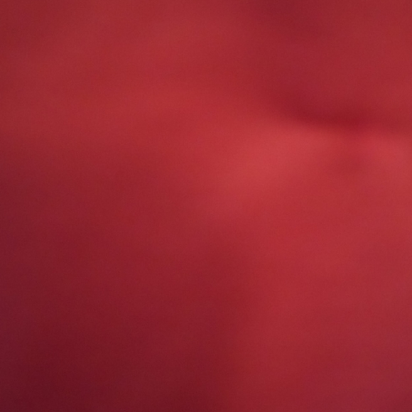 Seminole garnet basketball style shorts - Picture 5 of 9